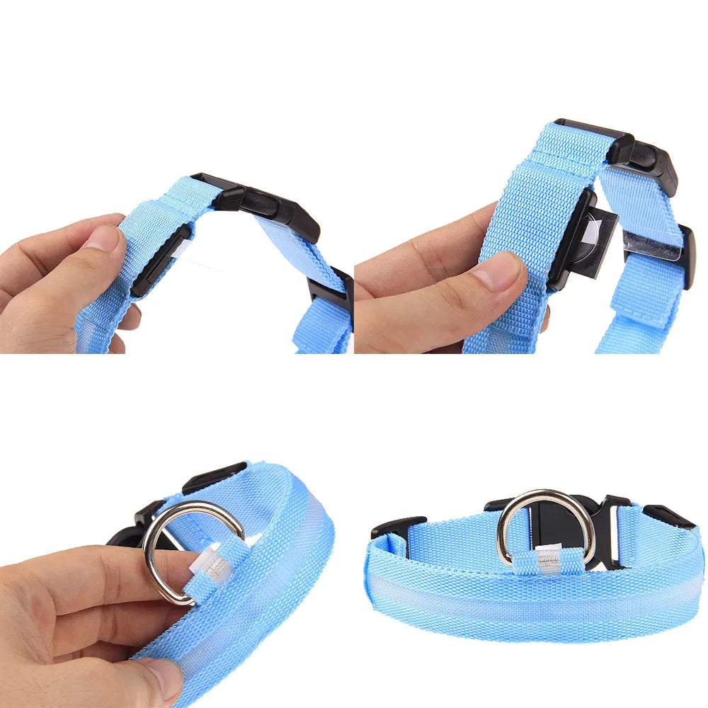🐾 LED Light-Up Dog Collar — Adjustable, USB Rechargeable & Waterproof Pet Safety Collar | Blinking & Glowing Modes for Night Walks, Visibility & Style ✨