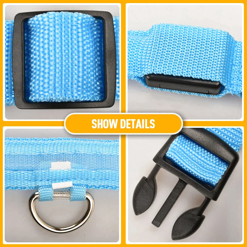 🐾 LED Light-Up Dog Collar — Adjustable, USB Rechargeable & Waterproof Pet Safety Collar | Blinking & Glowing Modes for Night Walks, Visibility & Style ✨