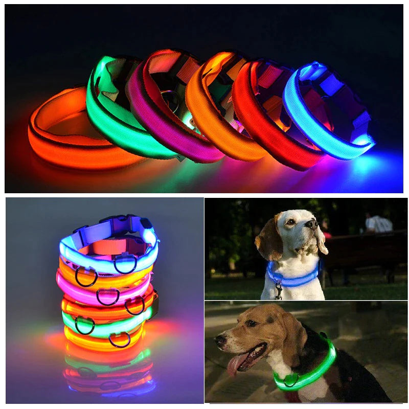 🐾 LED Light-Up Dog Collar — Adjustable, USB Rechargeable & Waterproof Pet Safety Collar | Blinking & Glowing Modes for Night Walks, Visibility & Style ✨