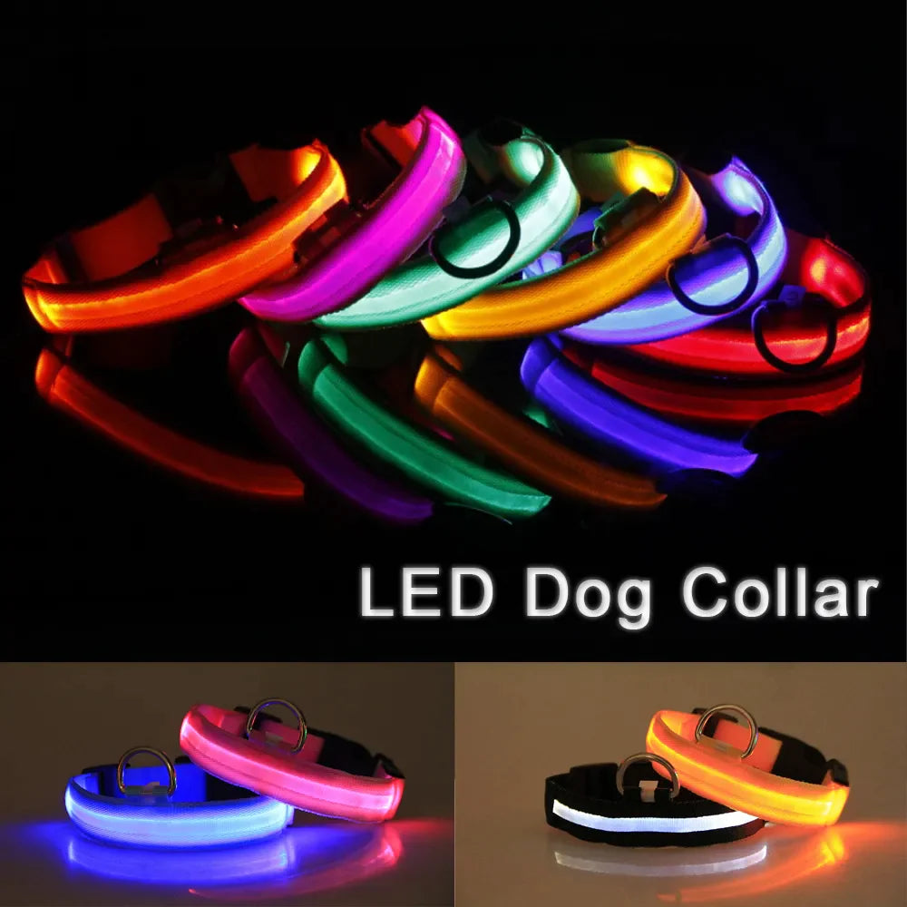 🐾 LED Light-Up Dog Collar — Adjustable, USB Rechargeable & Waterproof Pet Safety Collar | Blinking & Glowing Modes for Night Walks, Visibility & Style ✨