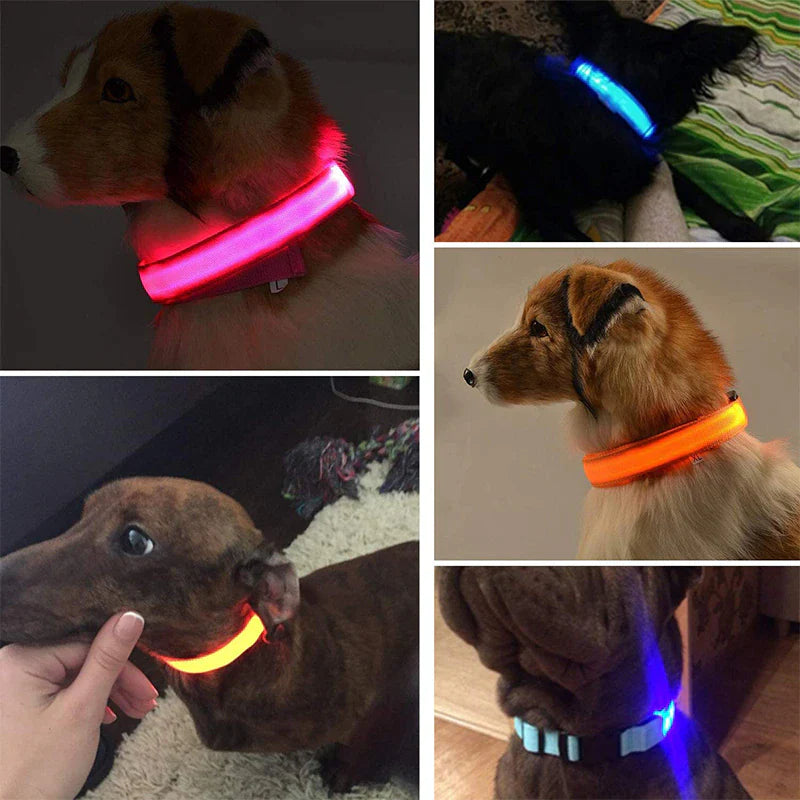 🐾 LED Light-Up Dog Collar — Adjustable, USB Rechargeable & Waterproof Pet Safety Collar | Blinking & Glowing Modes for Night Walks, Visibility & Style ✨
