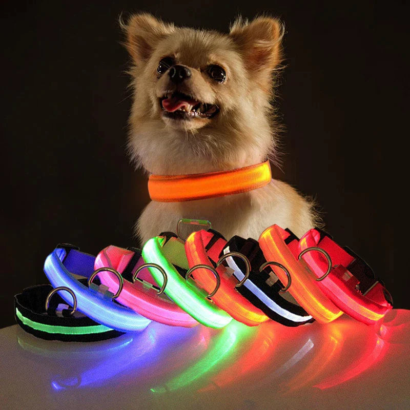 🐾 LED Light-Up Dog Collar — Adjustable, USB Rechargeable & Waterproof Pet Safety Collar | Blinking & Glowing Modes for Night Walks, Visibility & Style ✨