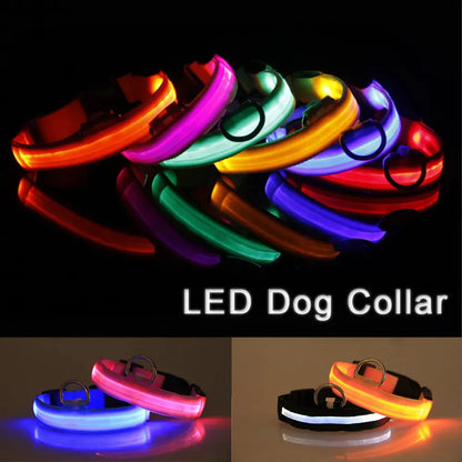 🐾 LED Light-Up Dog Collar — Adjustable, USB Rechargeable & Waterproof Pet Safety Collar | Blinking & Glowing Modes for Night Walks, Visibility & Style ✨