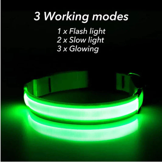 🐾 LED Light-Up Dog Collar — Adjustable, USB Rechargeable & Waterproof Pet Safety Collar | Blinking & Glowing Modes for Night Walks, Visibility & Style ✨
