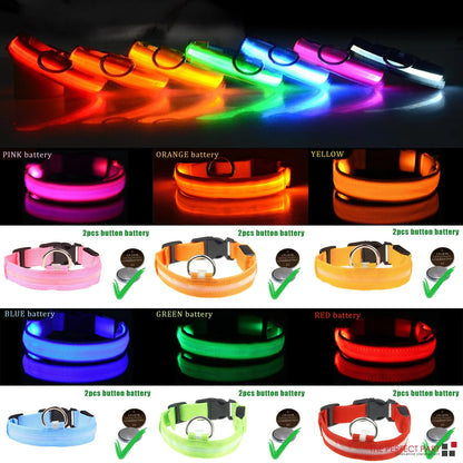 🐾 LED Light-Up Dog Collar — Adjustable, USB Rechargeable & Waterproof Pet Safety Collar | Blinking & Glowing Modes for Night Walks, Visibility & Style ✨