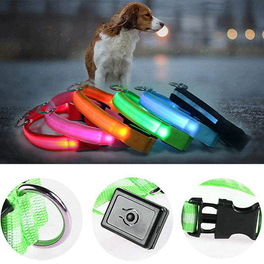 🐾 LED Light-Up Dog Collar — Adjustable, USB Rechargeable & Waterproof Pet Safety Collar | Blinking & Glowing Modes for Night Walks, Visibility & Style ✨
